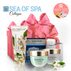 Bio Marine Collagen Day Cream & Eye Gel + Lotion Green Tea & Jasmin - deadseashop..com