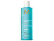 Moisture Repair Shampoo - For Weakened And Damaged Hair 250ml - DeadSeaShop.com