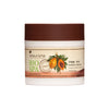 Sea Of Spa Bio Spa Papaya Body Cream - deadseashop.com